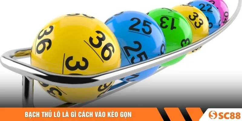 Bạch thủ lô là gì cách vào kèo gọn